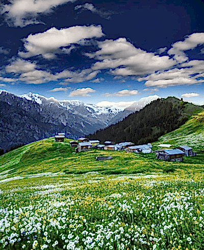 Doğu Karadeniz Esintisi Turu