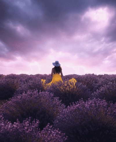 Günübirlik Lavanta Hasadı ve Göller Turu